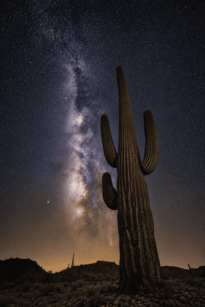 Milky Way rising behind a saguaro cactus in Arizona
