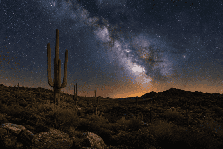 Milky Way rising behind a saguaro cactus in Arizona