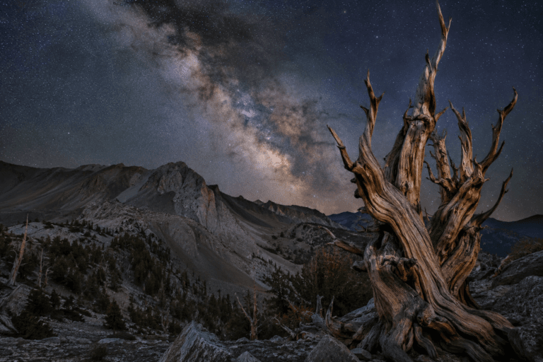 Great Basin National Park beneath the Milky Way galaxy