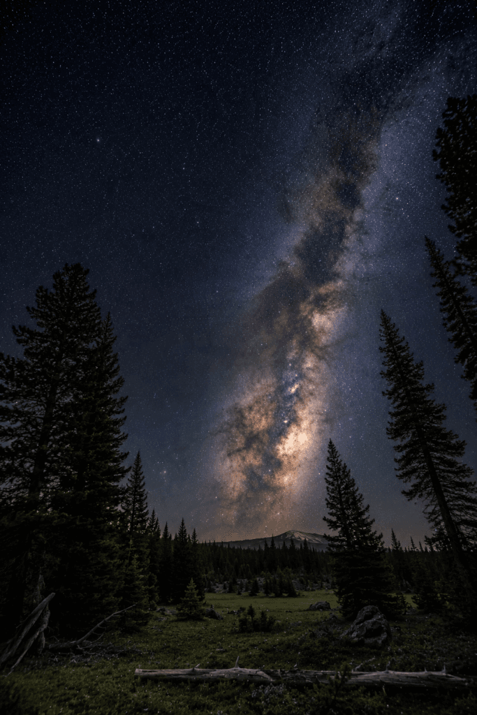Milky Way visible from a forest clearing in Oregon